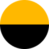 مشکی - طلایی - Black / Gold